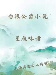 白銀公爵小說(shuō)