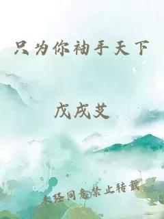 只為你袖手天下